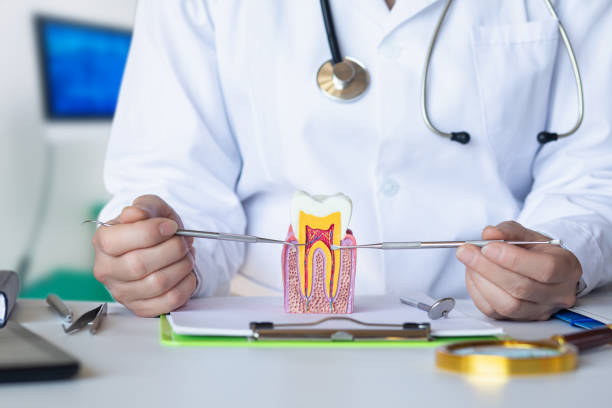 Best Emergency Dentist for Knocked-Out Tooth in Kenilworth, NJ